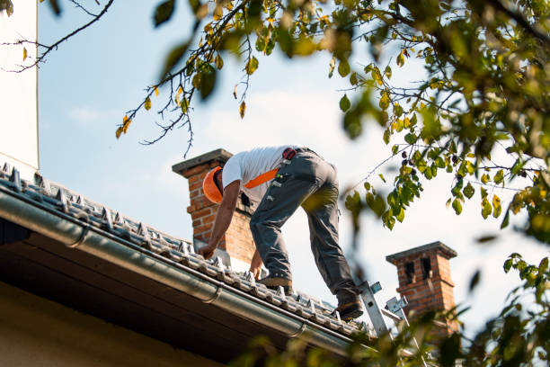 Fast & Reliable Emergency Roof Repairs in Bellevue, IL