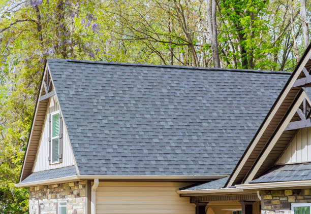 Professional Roofing in Bellevue, IL