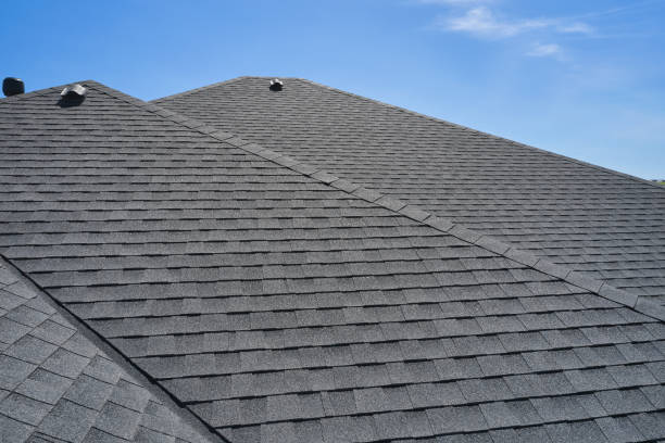 Roof Coating Services in Bellevue, IL